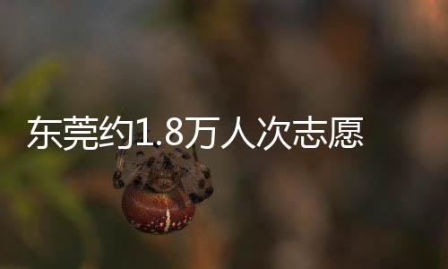 東莞約1.8萬人次志愿者將投入十五運會和城市服務(wù)