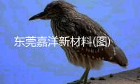 東莞嘉洋新材料(圖)