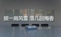披一肩風(fēng)雪 落幾回梅香——撐桿跳高雙姝力拼奧運(yùn)入場(chǎng)券