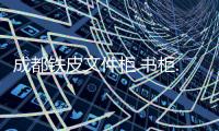 成都鐵皮文件柜.書柜.書架