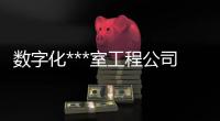 數(shù)字化***室工程公司