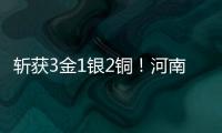 斬獲3金1銀2銅！河南選手出彩2025年全國跆拳道冠軍總決賽