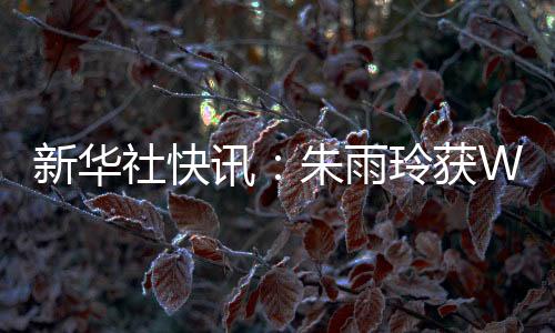 新華社快訊：朱雨玲獲WTT美國(guó)大滿貫女單冠軍