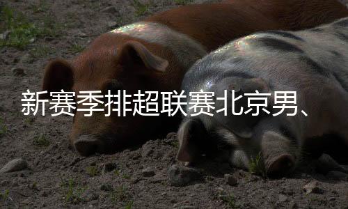 新賽季排超聯賽北京男、女排回歸主場光彩體育館