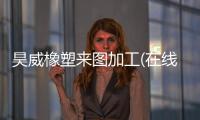 昊威橡塑來(lái)圖加工(在線咨詢)