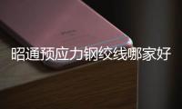昭通預(yù)應(yīng)力鋼絞線哪家好