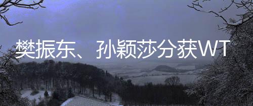 樊振東、孫穎莎分獲WTT重慶冠軍賽男女單打冠軍