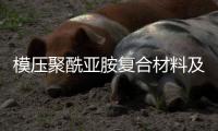 模壓聚酰亞胺復(fù)合材料及保持架