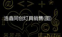 浩鑫同創(chuàng)燈具銷售(圖)