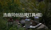 浩鑫同創(chuàng)品牌燈具(圖)