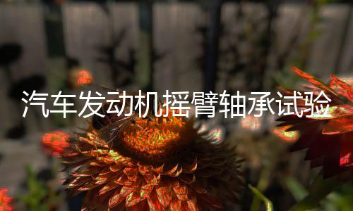 汽車發(fā)動機搖臂軸承試驗機