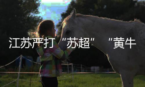 江蘇嚴(yán)打“蘇超”“黃?！保旱谒妮嗁愂鹿沧カ@105人