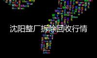 沈陽(yáng)整廠拆除回收行情