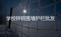 學(xué)校鋅鋼圍墻護(hù)欄批發(fā)