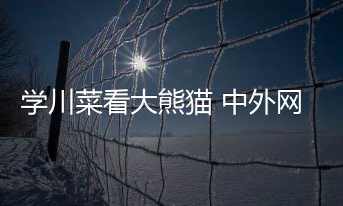 學(xué)川菜看大熊貓 中外網(wǎng)球運(yùn)動(dòng)員愛(ài)上成都安逸慢生活