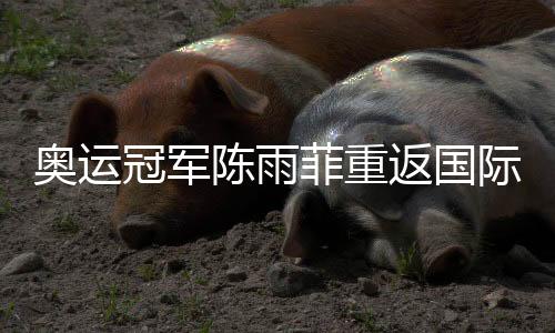奧運(yùn)冠軍陳雨菲重返國際賽場：很開心能重新為國而戰(zhàn)