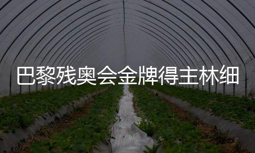 巴黎殘奧會金牌得主林細妹、麥建朋談奪冠感想 盼未來再創(chuàng)佳績