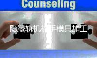 隱藏軌機(jī)械手模具加工