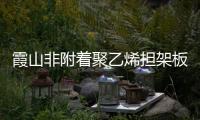 霞山非附著聚乙烯擔(dān)架板加工