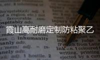 霞山高耐磨定制防粘聚乙烯襯板