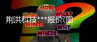 荊洪科技***報(bào)價(jià)(圖)