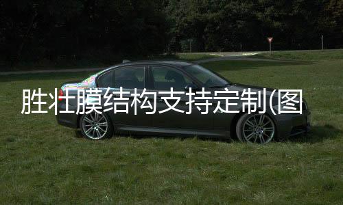宏晟二手夾膠生產(chǎn)線多少錢(qián)