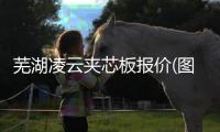 蕪湖凌云夾芯板報(bào)價(jià)(圖)