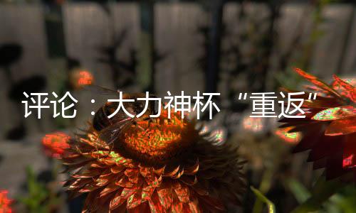 評(píng)論：大力神杯“重返”中國(guó)，中國(guó)男足何時(shí)重返世界杯？