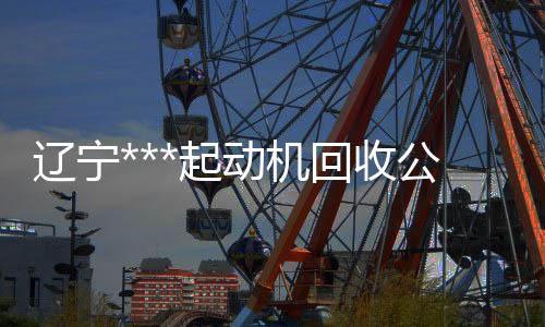 偉晴大健康呼吸機多少錢一臺