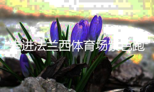 走進(jìn)法蘭西體育場(chǎng)紫色跑道，千分秒之差何以呈現(xiàn)？