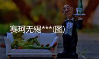 賽珂無(wú)錫***(圖)
