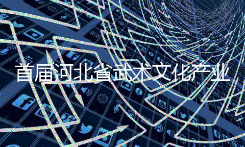 首屆河北省武術(shù)文化產(chǎn)業(yè)發(fā)展交流大會(huì)展示武術(shù)魅力