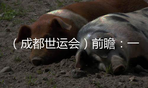 （成都世運(yùn)會(huì)）前瞻：一場(chǎng)體育與科技“雙向奔赴”的盛會(huì)