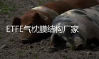 ETFE氣枕膜結(jié)構(gòu)廠家