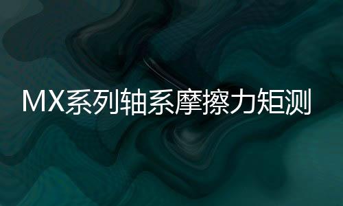 MX系列軸系摩擦力矩測(cè)量儀