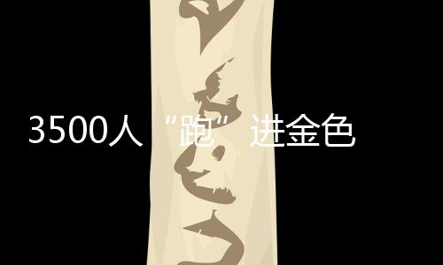 3500人“跑”進(jìn)金色油畫(huà) 湖南南縣花海馬拉松飄起小龍蝦香