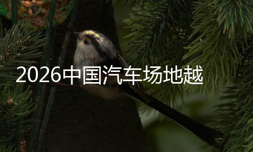 2026中國(guó)汽車場(chǎng)地越野（冰雪）錦標(biāo)賽呼倫貝爾站落幕