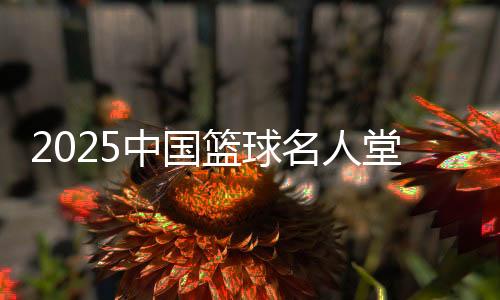 2025中國(guó)籃球名人堂入堂規(guī)模確定 最終結(jié)果11月公布