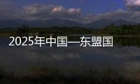 2025年中國—東盟國際龍舟公開賽在廣西藤縣舉行